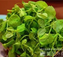 Garlic Mashed Pea Shoots