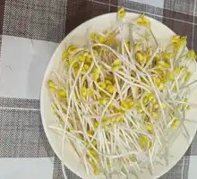 Bean sprouts