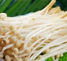 Enoki Mushroom