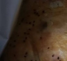 Sichuan-style Chicken Fillet Pancake