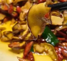 White Onion with Hand-Blue Mushroom