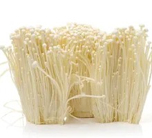 Enoki Mushroom