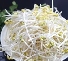 Bean sprouts