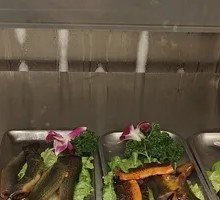 Fresh Yellow Catfish