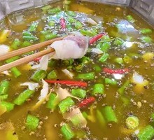 Spicy Green Pepper Fish Pot