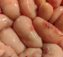 Fresh Chicken Kidneys