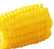 Corn