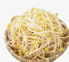 Bean sprouts
