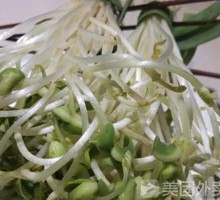 Bean sprouts