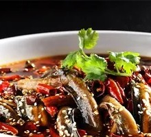 Spicy Earth Eel