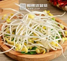Bean sprouts