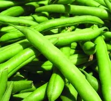 Green Beans