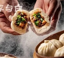 Inherited Recipe Braised Pork Bun