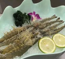 Freshly Caught Prawn