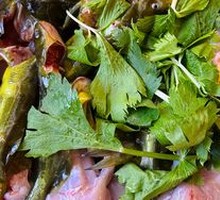 Yellow Catfish with Frog Legs