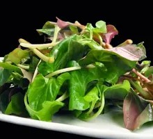 Creeping Charlie Leaves