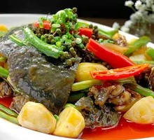 Double Bean Stewed Softshell Turtle