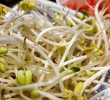 Bean sprouts