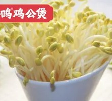 Bean sprouts