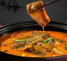 Braised Turtle in Rich Sauce