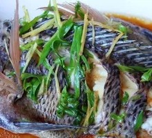 Huo Xiang Crucian Carp