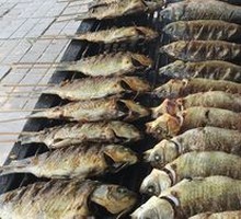 Special Roast Fish