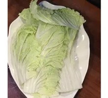 Napa cabbage