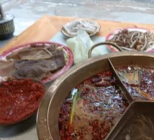 Fresh Beef Tripe from Slaughterhouse