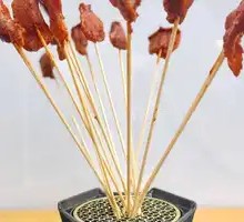 Shang Shang Qian Xiao Jun Gan