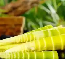 Special Fresh Bamboo Shoots