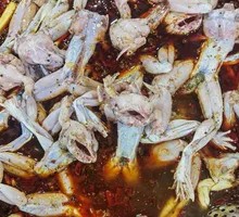 Frog Health Master Spicy Frog