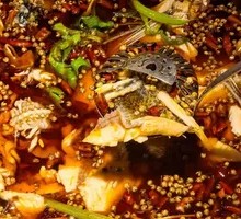 Delicious Frog and Fish (Half and Half)