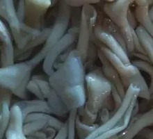 Duck Intestines