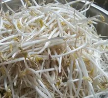 Bean sprouts