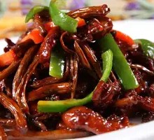 Camphor Tree Mushroom