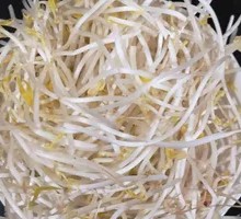 Spicy Bean Sprouts