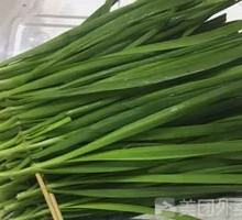 Leek