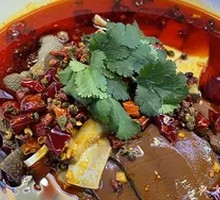 Mushroom Boiled Fish Hot Pot