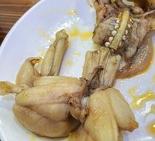 Freshly Caught Bullfrog