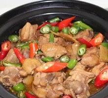 Mild Spicy Braised Chicken