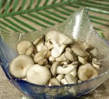 King Oyster Mushroom