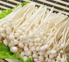 Enoki Mushroom