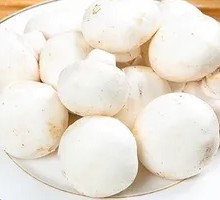 King Oyster Mushroom