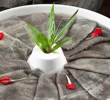 Fresh Beef Tripe from the Slaughterhouse