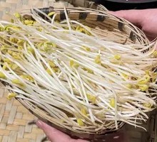 Bean sprouts