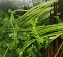 Cilantro Beef