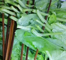 Pea Shoots