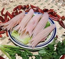 Rocket Squid
