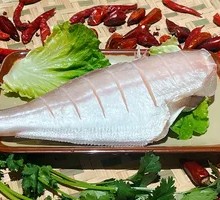 Palm-sized Catfish