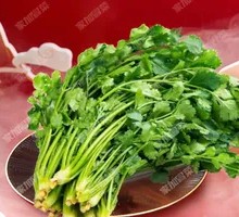 Cilantro